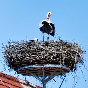 Stoereche Tussenhausen vom Marktplatz aus gesehen