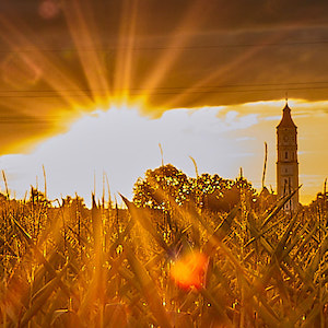 Kirchturm Schlingen Sonnenuntergang